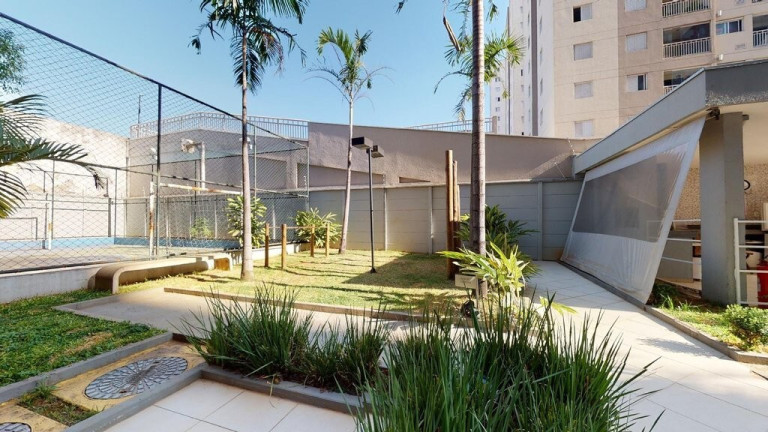 Imagem Apartamento com 1 Quarto à Venda, 33 m² em Cambuci - São Paulo Imagem Apartamento com 1 Quarto à Venda, 33 m² em Cambuci - São Paulo