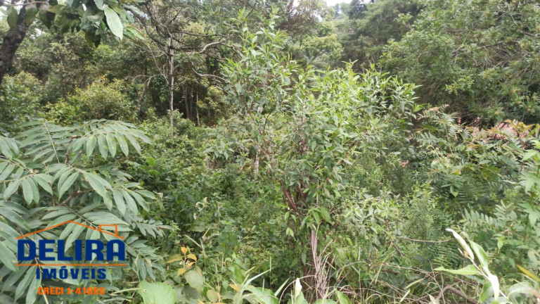 Terreno à Venda, 1 m² em Estância Santa Maria Do Portão - Atibaia
