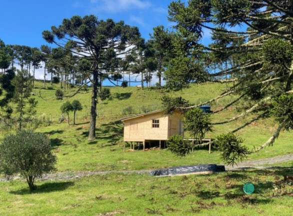 Imagem Imóvel com 1 Quarto à Venda, 20.000 m² em Zona Rural - Urubici