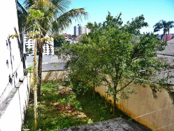 Imagem Casa com 3 Quartos à Venda, 270 m² em Vila Amália (zona Norte) - São Paulo Imagem Casa com 3 Quartos à Venda, 270 m² em Vila Amália (zona Norte) - São Paulo