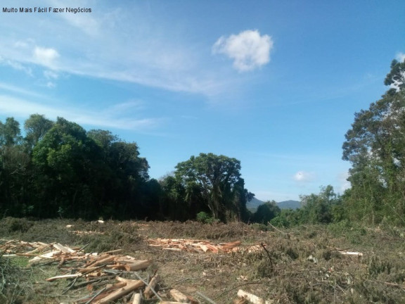 Imagem Terreno à Venda, 4 m² em Pinhal Alto - Nova Petrópolis Imagem Terreno à Venda, 4 m² em Pinhal Alto - Nova Petrópolis
