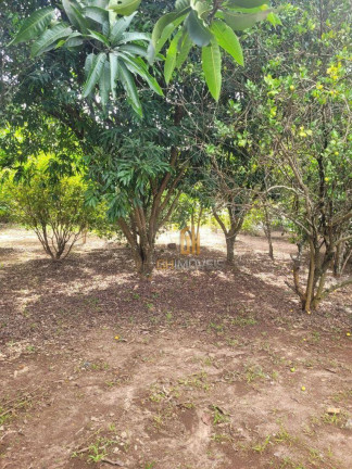 Imagem Chácara com 4 Quartos à Venda, 720 m² em Cachoeirinha - Aragoiânia