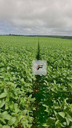 Fazenda à Venda, 14.858.800 m² em Centro - Castro