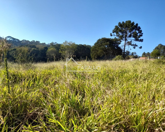 Imagem Terreno à Venda, 10.300 m² em Ressaca - Ibiúna Imagem Terreno à Venda, 10.300 m² em Ressaca - Ibiúna