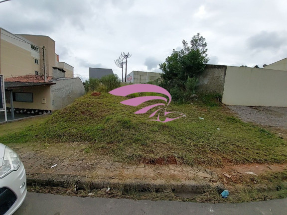 Imagem Terreno à Venda, 500 m² em Bom Jesus - São José Dos Pinhais Imagem Terreno à Venda, 500 m² em Bom Jesus - São José Dos Pinhais