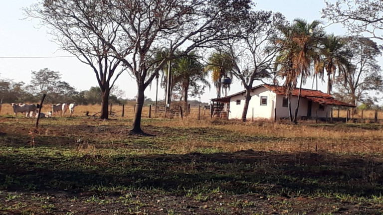 Imagem Fazenda à Venda, 314 m² em Zona Rural - Ituiutaba Imagem Fazenda à Venda, 314 m² em Zona Rural - Ituiutaba
