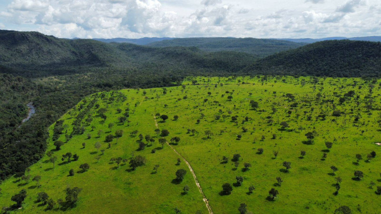 Imagem Chácara à Venda, 94 m² em Centro - Teresina De Goiás Imagem Chácara à Venda, 94 m² em Centro - Teresina De Goiás