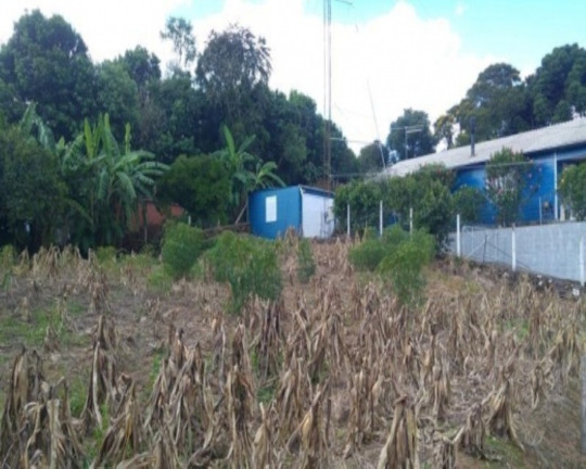 Imagem Terreno à Venda, 378 m² em Br 116 - Nova Petrópolis