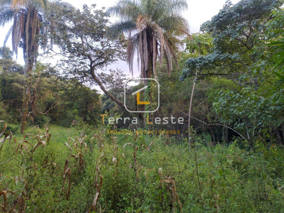 Imagem Terreno à Venda, 4.500 m² em Piedade Do Paraopeba - Brumadinho Imagem Terreno à Venda, 4.500 m² em Piedade Do Paraopeba - Brumadinho