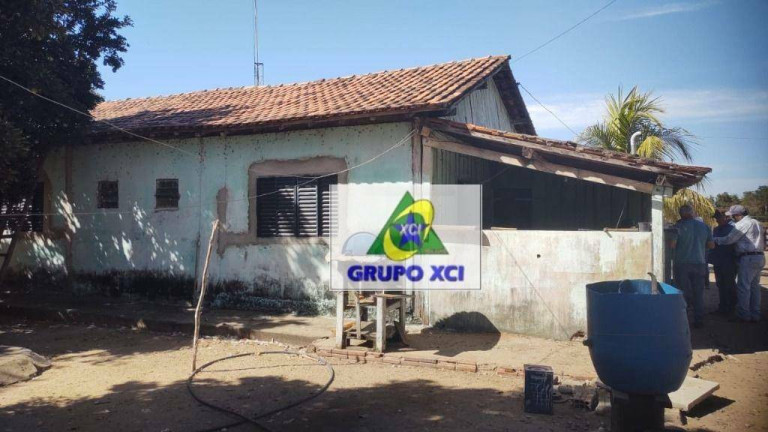 Imagem Fazenda à Venda, 135.000.000 m² em Centro - Ribeirão Cascalheira
