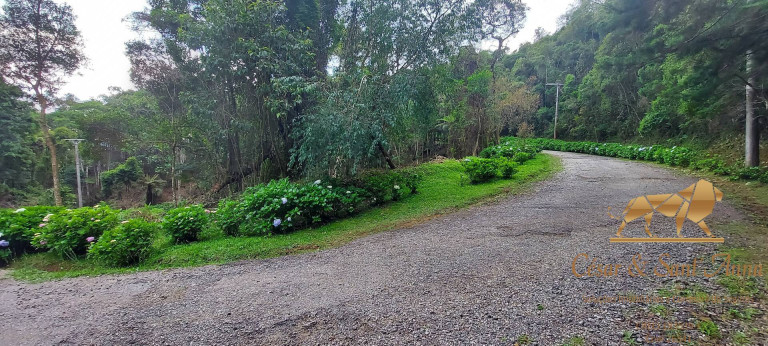 Terreno à Venda, 1.050 m² em Alto Da Boa Vista - Campos Do Jordão