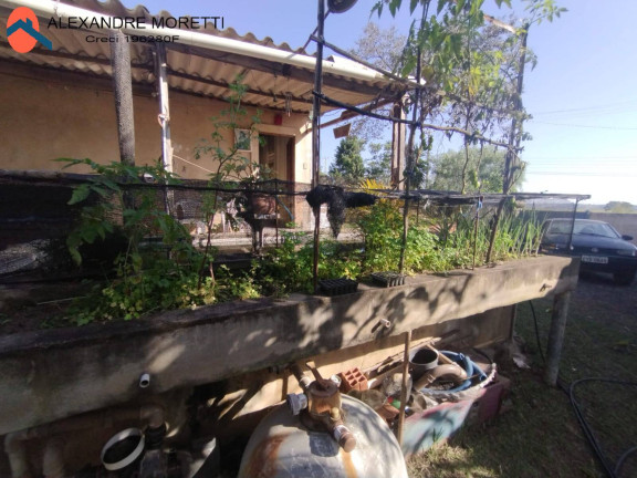 Imagem Chácara com 3 Quartos à Venda, 1.100 m² em Cercado - Araçoiaba Da Serra Imagem Chácara com 3 Quartos à Venda, 1.100 m² em Cercado - Araçoiaba Da Serra