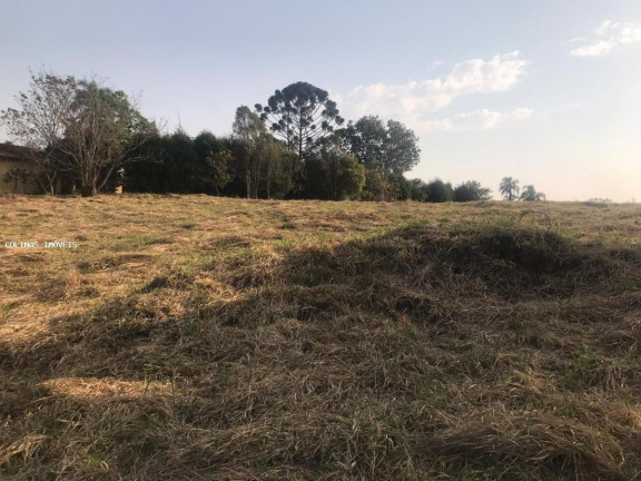 Imagem Terreno à Venda,  em Antes Do Centro - Ibiúna