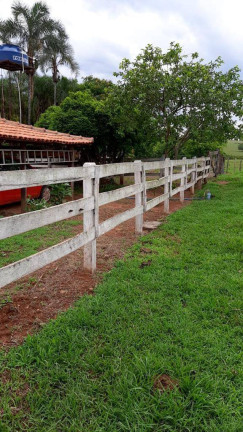 Imagem Chácara à Venda, 5 m² em Zona Rural - Anicuns Imagem Chácara à Venda, 5 m² em Zona Rural - Anicuns