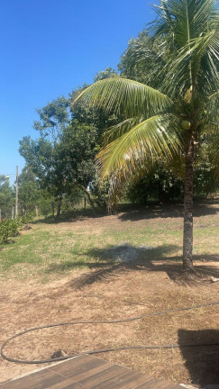 Imagem Imóvel com 3 Quartos à Venda, 45.000 m² em Rio Verde - Bauru