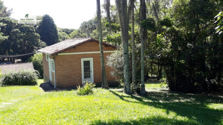 Imagem Chácara com 3 Quartos à Venda, 3.000 m² em Alto Da Serra - São Roque Imagem Chácara com 3 Quartos à Venda, 3.000 m² em Alto Da Serra - São Roque