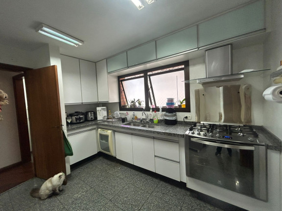 Imagem Apartamento com 4 Quartos à Venda, 290 m² em Pacaembu - São Paulo