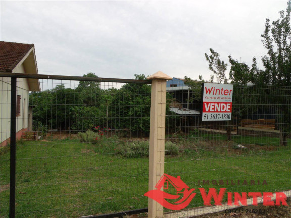 Imagem Terreno à Venda, 999 m² em Morro Tico-tico - Bom Princípio Imagem Terreno à Venda, 999 m² em Morro Tico-tico - Bom Princípio
