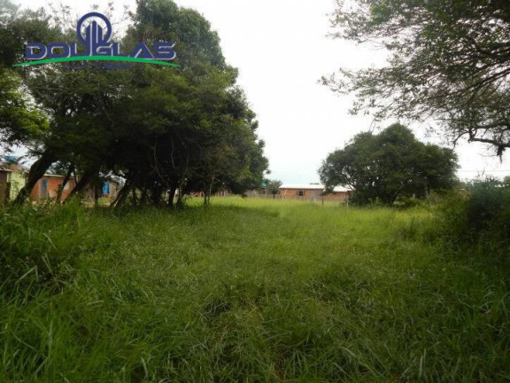 Imagem Terreno à Venda, 560 m² em Viamão Imagem Terreno à Venda, 560 m² em Viamão