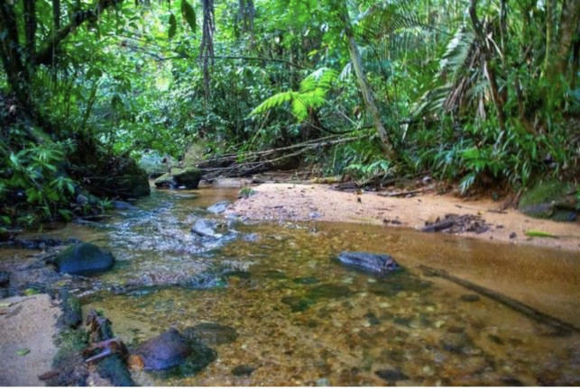 Imagem Chácara com 2 Quartos à Venda, 120 m² em Sertão De Ubatumirim - Ubatuba