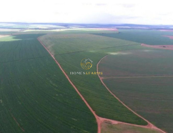 Imagem Imóvel com 3 Quartos à Venda, 3.850 m² em Centro - Primavera Do Leste Imagem Imóvel com 3 Quartos à Venda, 3.850 m² em Centro - Primavera Do Leste