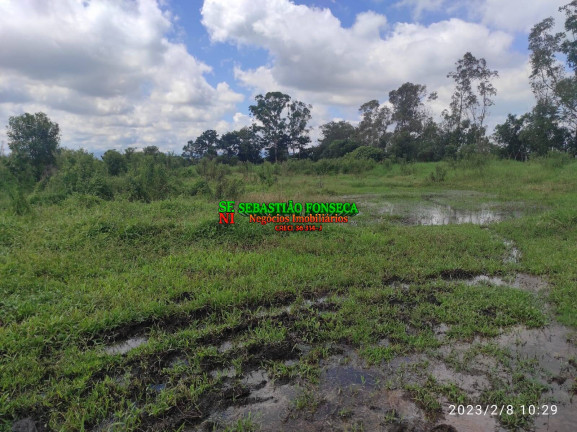 Imagem Chácara à Venda, 12 m² em Chácara Marambaia - Caçapava Imagem Chácara à Venda, 12 m² em Chácara Marambaia - Caçapava