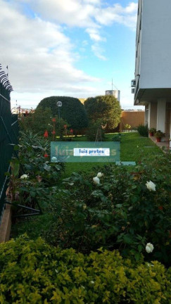 Imagem Apartamento com 3 Quartos à Venda, 77 m² em Cristal - Porto Alegre