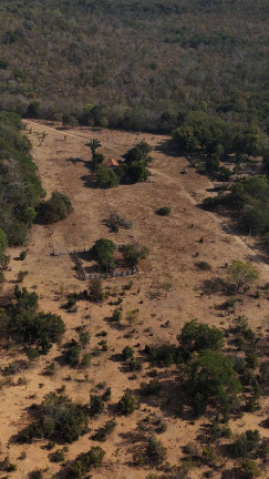 Imagem Fazenda à Venda, em Sinop Imagem Fazenda à Venda, em Sinop