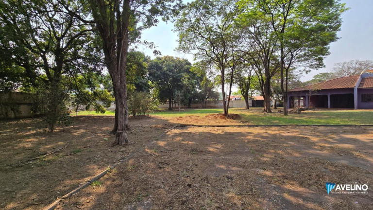 Imagem Imóvel com 1 Quarto à Venda, 660 m² em Jardim Paulista - Dourados