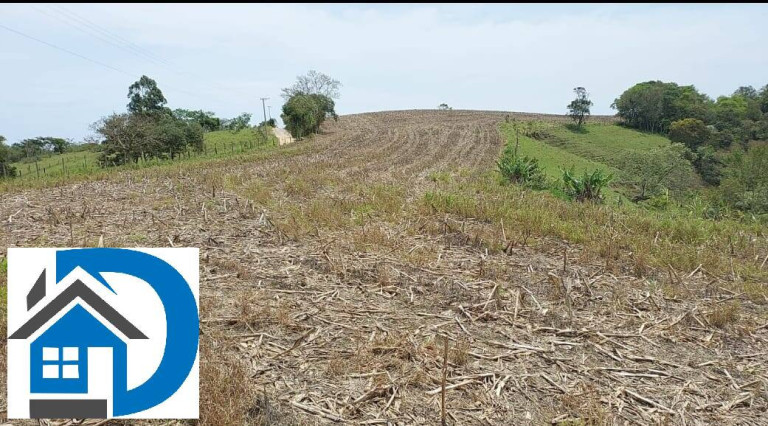 Imagem Chácara com 2 Quartos à Venda, 7 m² em Rural - Itapetininga Imagem Chácara com 2 Quartos à Venda, 7 m² em Rural - Itapetininga
