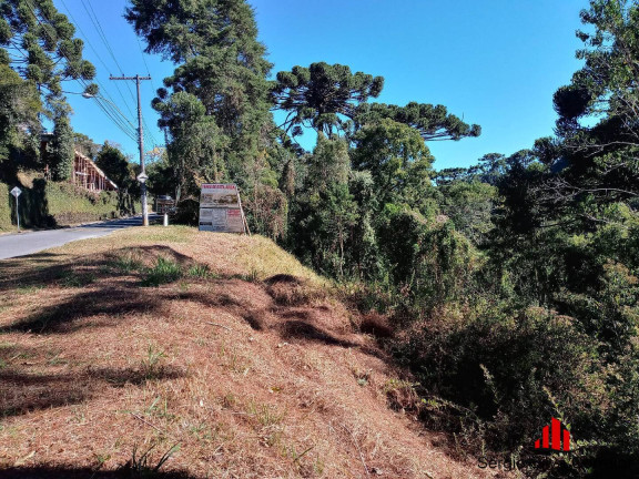 Imóvel Comercial à Venda, 5 m² em Vila Capivari - Campos Do Jordão