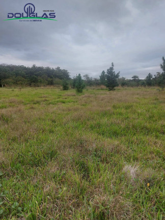 Imagem Imóvel Comercial à Venda, 20.000 m² em Viamão Imagem Imóvel Comercial à Venda, 20.000 m² em Viamão