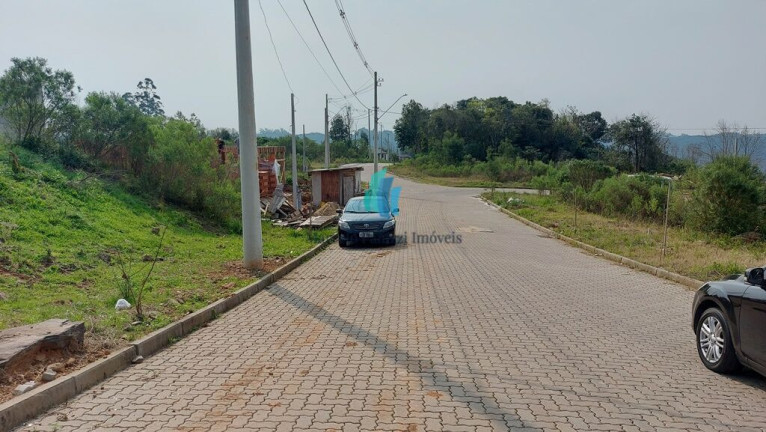 Imagem Terreno à Venda, 292 m² em São Roque - Bento Gonçalves