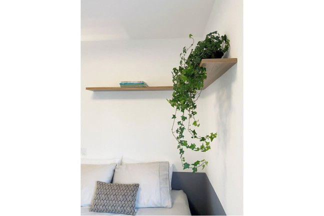 Imagem Apartamento com 1 Quarto à Venda, 35 m² em Saúde - São Paulo