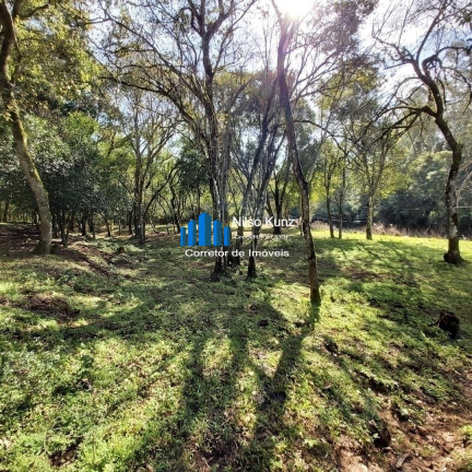 Imagem Chácara à Venda, 120.000 m² em Bento Gonçalves Imagem Chácara à Venda, 120.000 m² em Bento Gonçalves