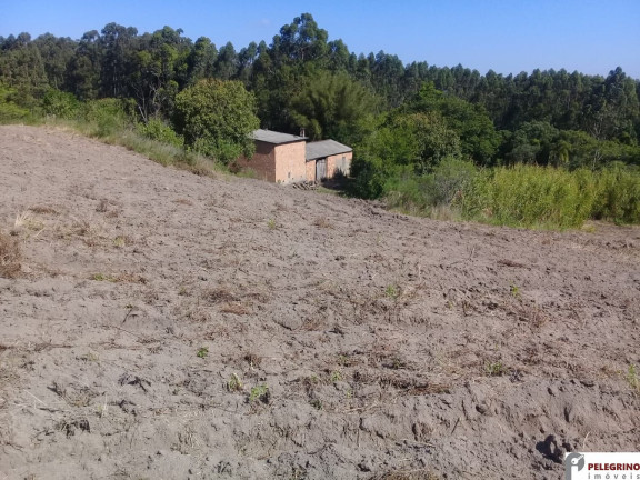 Imagem Imóvel com 2 Quartos à Venda, 80 m² em Zona Rural - Sentinela Do Sul Imagem Imóvel com 2 Quartos à Venda, 80 m² em Zona Rural - Sentinela Do Sul
