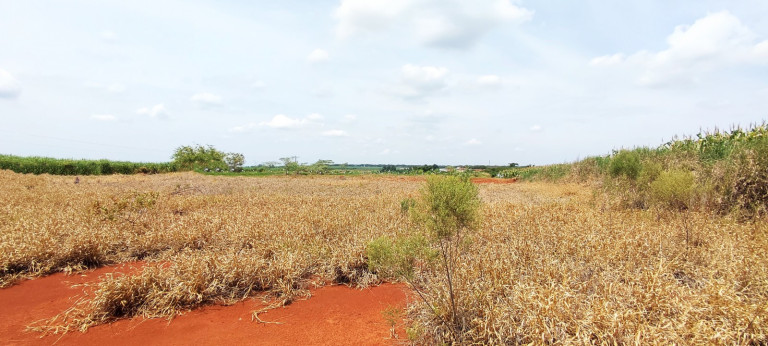 Imagem Terreno à Venda, 20.000 m² em área Rural De Iracemápolis - Iracemápolis Imagem Terreno à Venda, 20.000 m² em área Rural De Iracemápolis - Iracemápolis