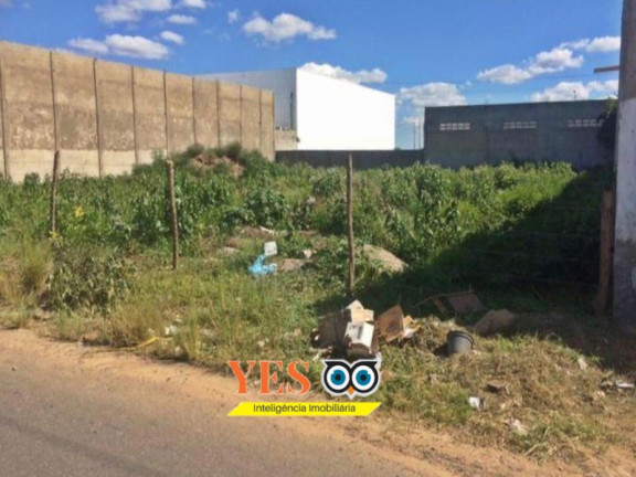 Imagem Terreno à Venda, 1.200 m² em Sim - Feira De Santana Imagem Terreno à Venda, 1.200 m² em Sim - Feira De Santana