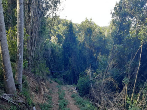 Imagem Terreno à Venda, 13.823 m² em Linha Olinda - Nova Petrópolis Imagem Terreno à Venda, 13.823 m² em Linha Olinda - Nova Petrópolis