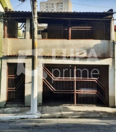 Terreno à Venda, 160 m² em Vila Maria Alta - São Paulo