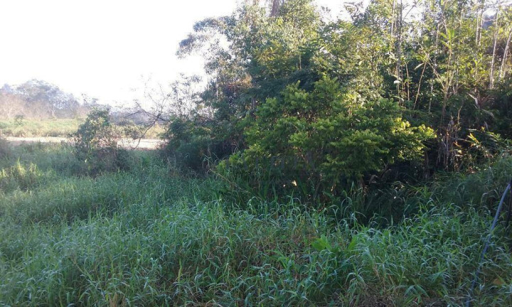 Terreno à Venda, 4.000 m² em Espinheiros - Itajaí