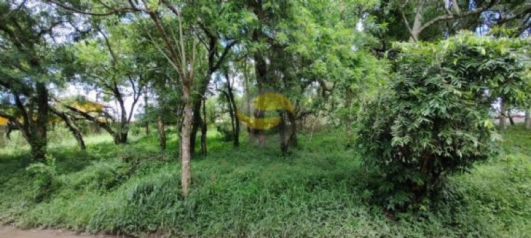 Imagem Terreno à Venda, 1.048 m² em Jardim Colibri - Cotia Imagem Terreno à Venda, 1.048 m² em Jardim Colibri - Cotia