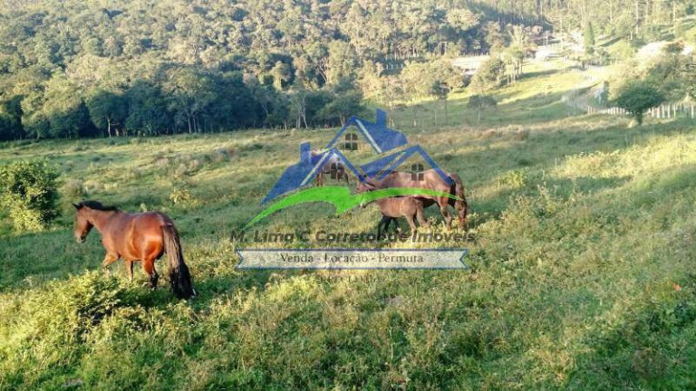 Imagem Fazenda à Venda, 55 m² em Joanópolis Imagem Fazenda à Venda, 55 m² em Joanópolis