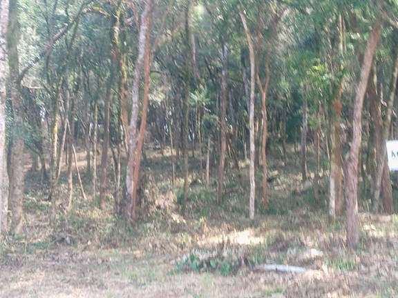 Imagem Terreno à Venda, em Planta Granjas Eldorado - Piraquara Imagem Terreno à Venda, em Planta Granjas Eldorado - Piraquara
