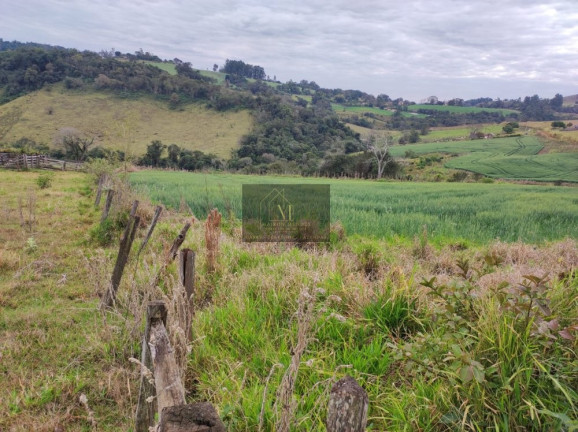 Imagem Terreno à Venda, 2.600 m² em Tomazina - Tomazina Imagem Terreno à Venda, 2.600 m² em Tomazina - Tomazina