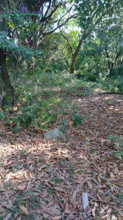 Imagem Chácara à Venda,  em Viamão