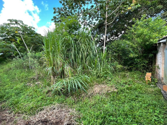 Imagem Terreno à Venda, 245 m² em Malícia (abrantes) - Camaçari Imagem Terreno à Venda, 245 m² em Malícia (abrantes) - Camaçari
