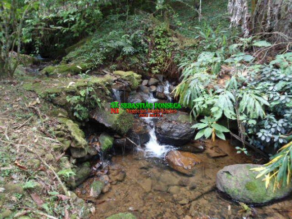 Imagem Chácara à Venda, 9 m² em São Francisco Xavier - São José Dos Campos Imagem Chácara à Venda, 9 m² em São Francisco Xavier - São José Dos Campos