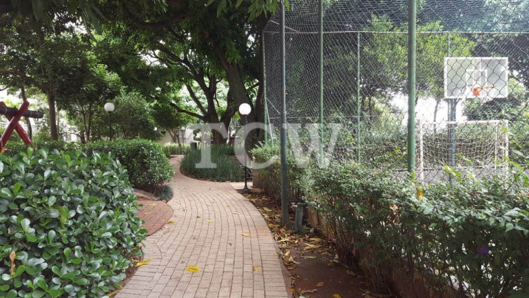 Imagem Apartamento com 3 Quartos à Venda, 176 m² em Aclimação - São Paulo Imagem Apartamento com 3 Quartos à Venda, 176 m² em Aclimação - São Paulo