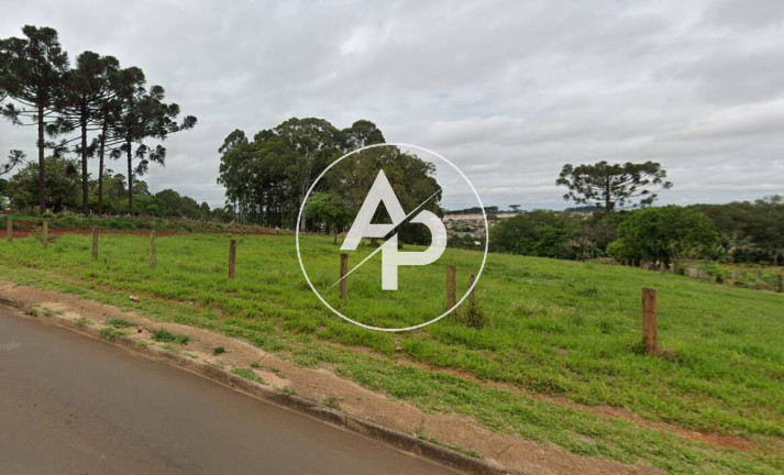 Terreno à Venda, 3.080 m² em Cará-cará - Ponta Grossa